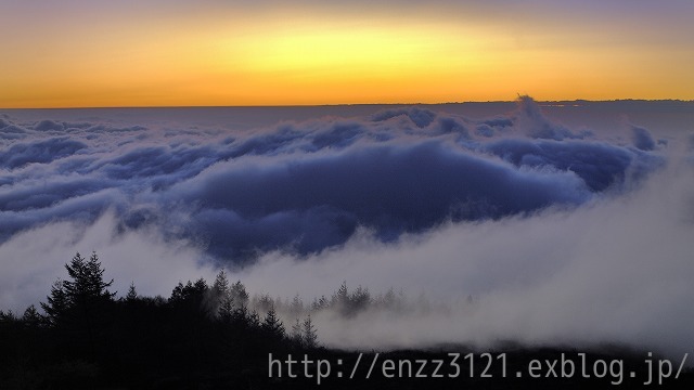 d0019260_829235.jpg