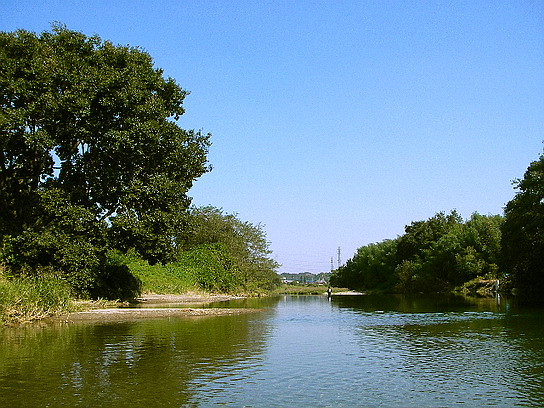 f0084561_1219070.jpg