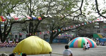 f0139963_21245091.jpg