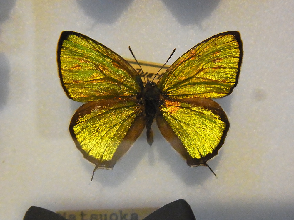 a0146869_20593520.jpg