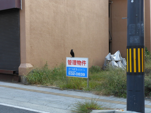 不動産一代記_c0001670_6583670.jpg