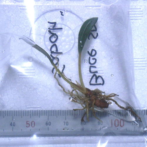 d0249970_21415348.jpg