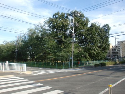 c0112172_2434111.jpg