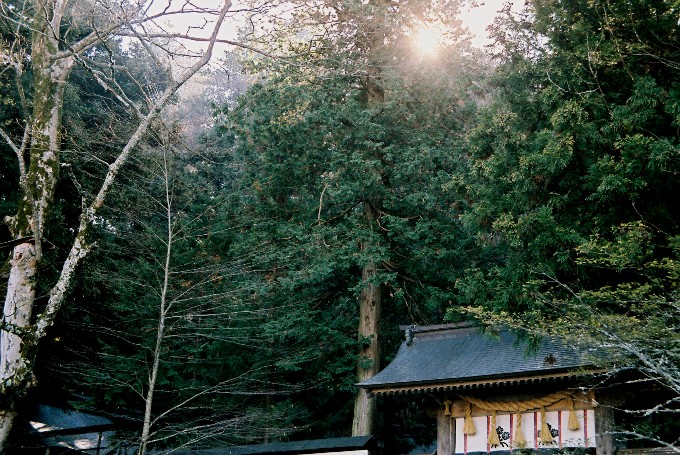 81:日本 787_c0139575_7455072.jpg