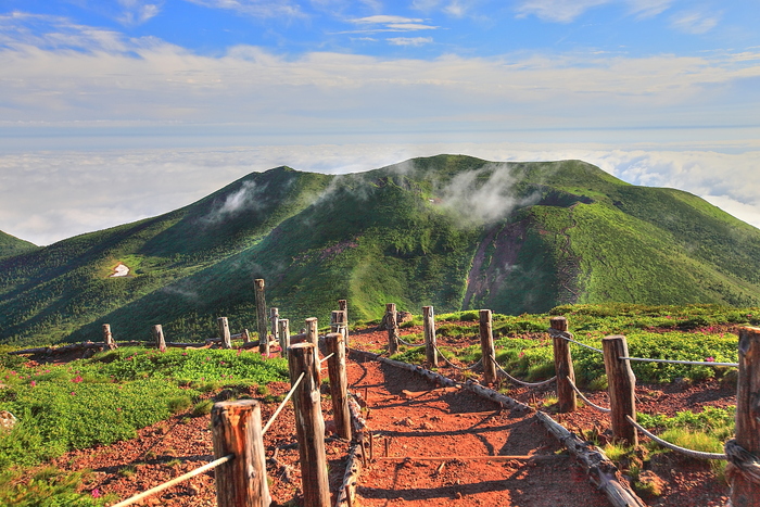 1584m　～八甲田山　Ⅴ_f0057178_893986.jpg