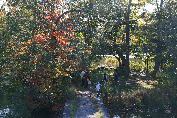 c0112479_1084392.jpg