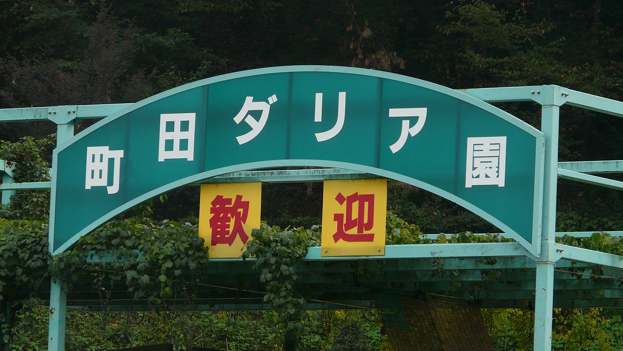 a0185081_17103390.jpg