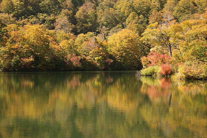 信州・小谷村　雨飾高原　鎌池の紅葉　その２_e0165983_11513483.jpg