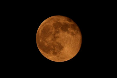 b0163788_2046066.jpg