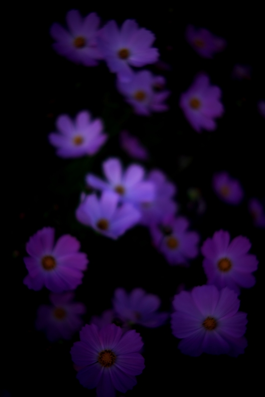 b0227088_22415139.jpg