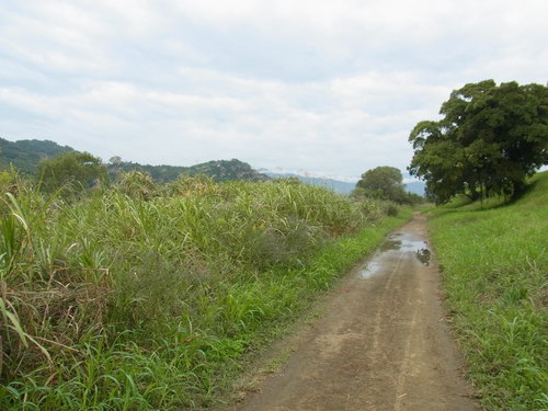 a0214490_163399.jpg