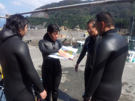 下田ダイバーズスタッフを撮ろうコンテスト 前編 パク前岡のパクパク日記帳 下田ダイバーズスタッフを撮ろうコンテスト 前編 パク前岡のパクパク日記帳