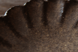 e0205196_12362425.gif
