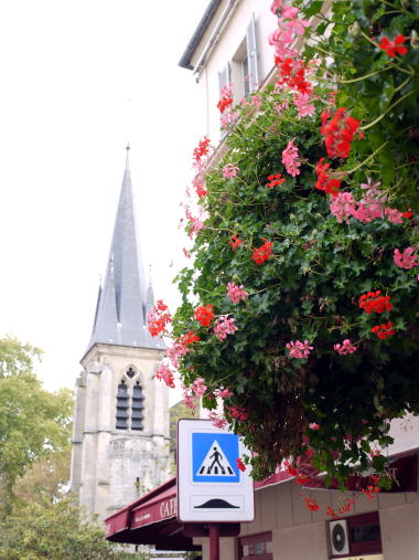 c0090198_4222515.jpg