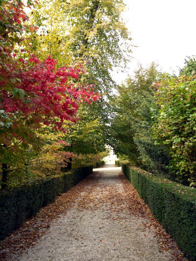 c0090198_4342640.jpg