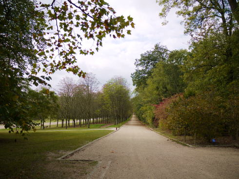 c0090198_4361659.jpg