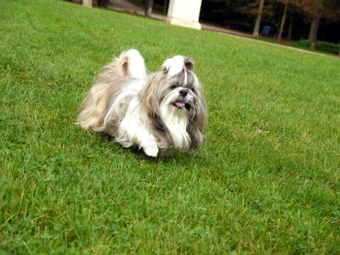c0090198_4372251.jpg