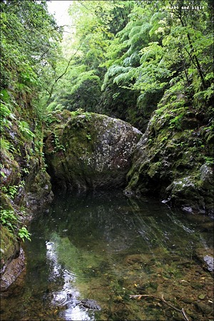 11:11:11 天橋立~心ある道を歩む_e0115301_14461794.jpg