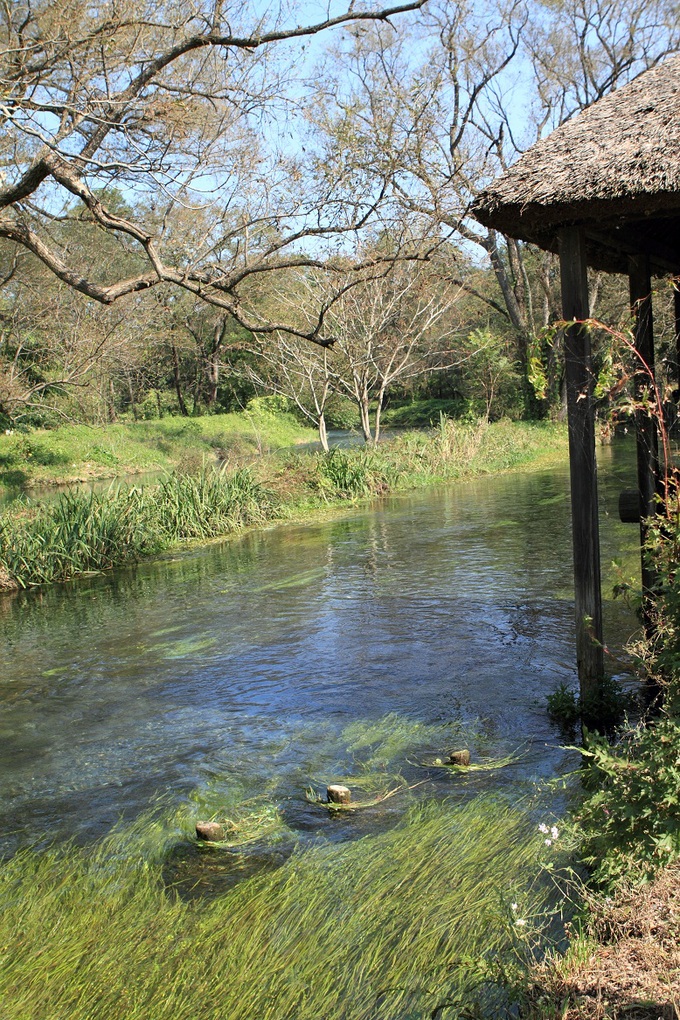 f0034602_1862216.jpg