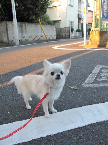 a0079803_14384934.jpg