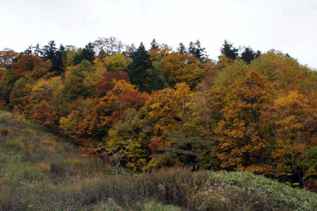 f0160407_439232.jpg