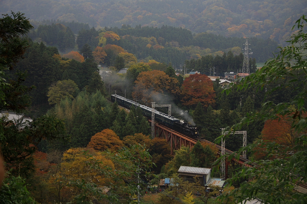 錦秋の頃　- 2010年秋・秩父 -_b0190710_2046585.jpg