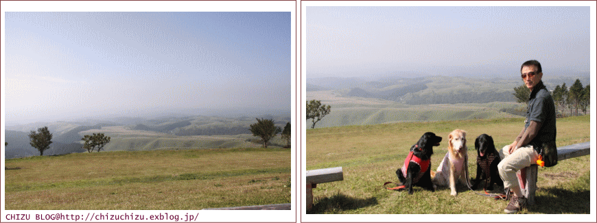 c0017311_2010021.gif