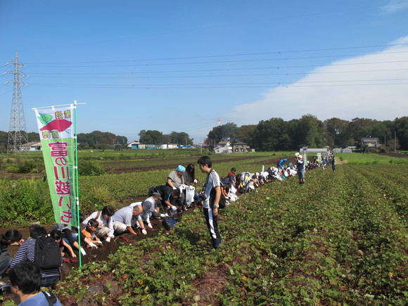 世界一の「いも掘り大会」大成功！_d0130714_2315046.jpg