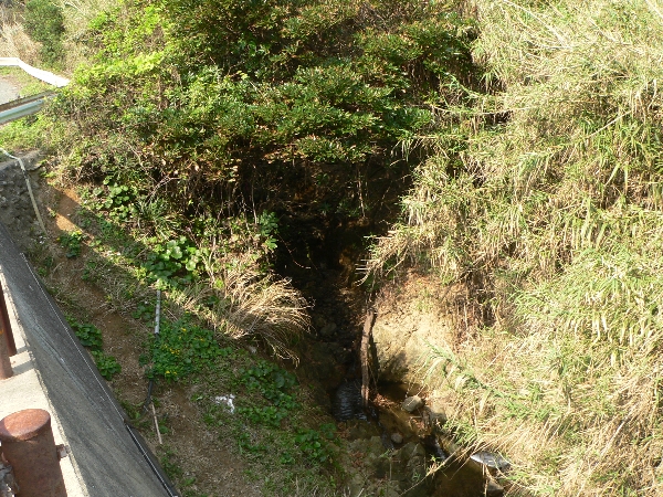 e0002314_20435956.jpg