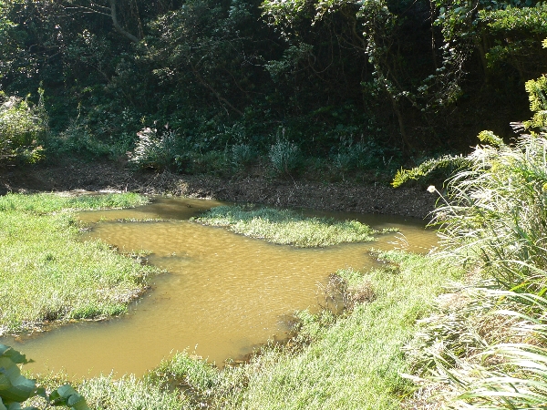 福岡地区　島散策　SPARK_e0002314_20512040.jpg