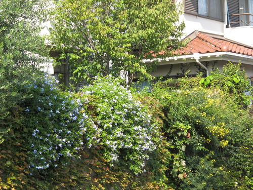 b0103915_05421.jpg