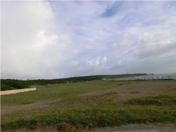 e0244024_18364264.jpg