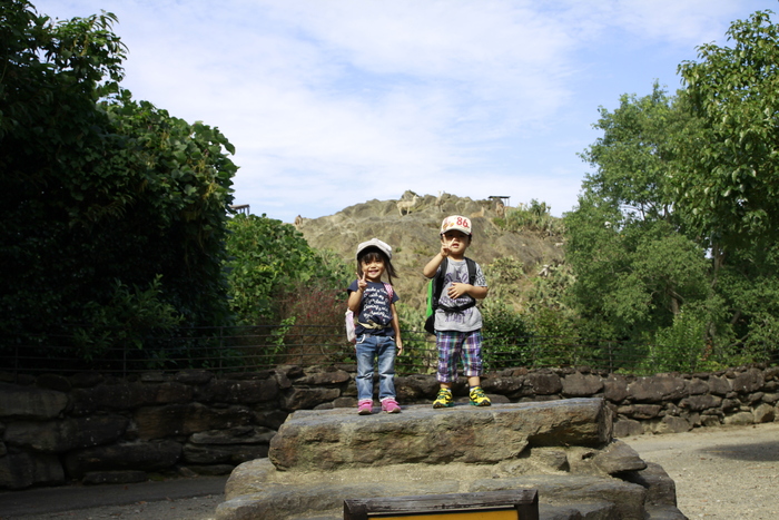 d0200926_19302954.jpg