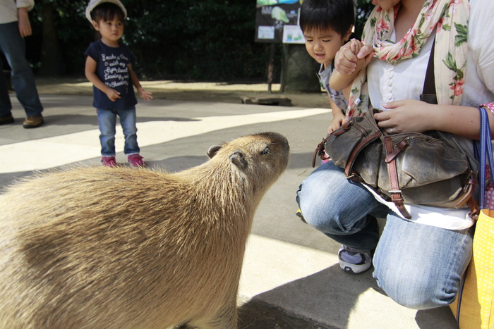 長崎バイオパーク（4）_d0200926_1981826.jpg