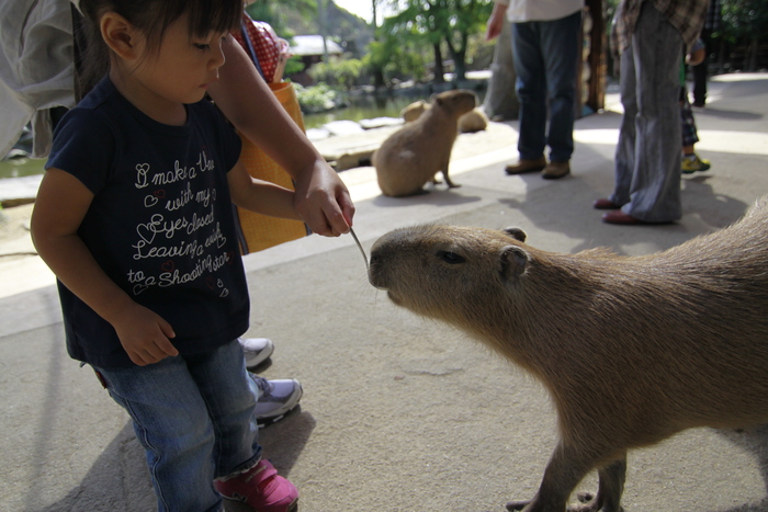 長崎バイオパーク（4）_d0200926_1985764.jpg