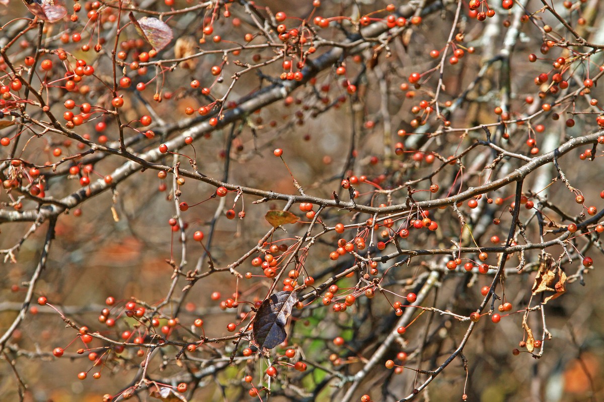 c0104227_2151054.jpg