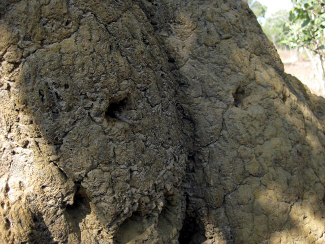 f0234427_11584364.jpg