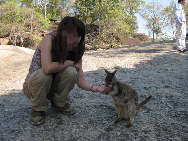 可愛すぎる動物☆ロックワラビー_f0234427_1646236.jpg