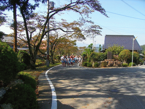 b0191932_23131492.gif