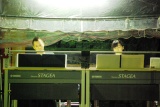 c0051032_21373572.jpg