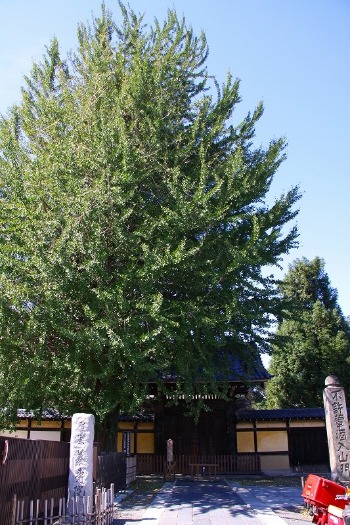f0229832_1613962.jpg