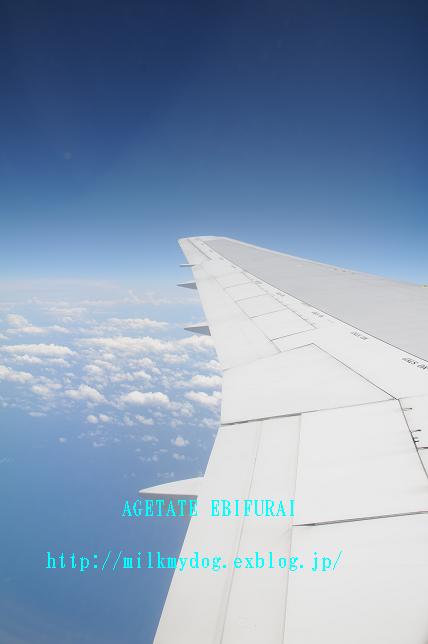 e0210934_2061588.jpg