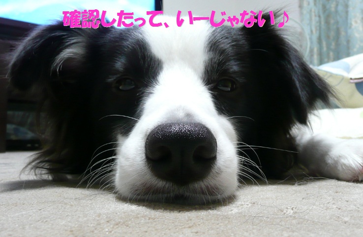 c0147241_23394891.jpg