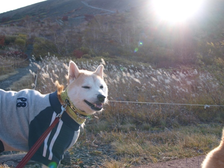 犬連れ車中泊の旅　浄土平・吾妻小富士編_b0080342_22515493.jpg