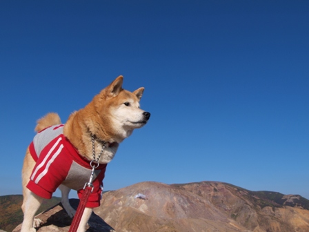 犬連れ車中泊の旅　浄土平・吾妻小富士編_b0080342_22552621.jpg