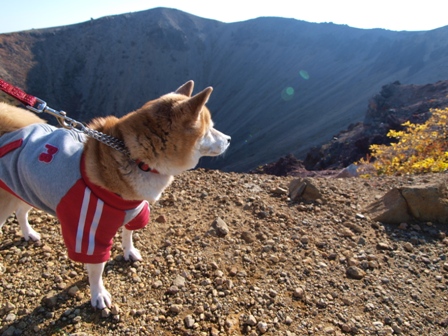 犬連れ車中泊の旅　浄土平・吾妻小富士編_b0080342_2303435.jpg