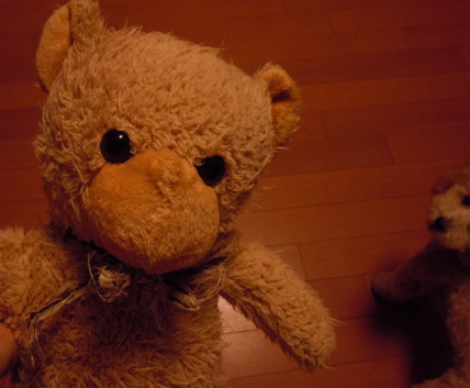 e0028446_21381212.jpg