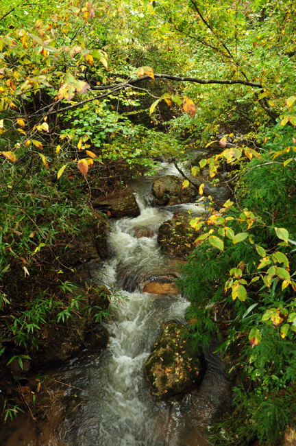 紅葉探し・・・山谷川支流結渡沢_d0094150_2264235.jpg