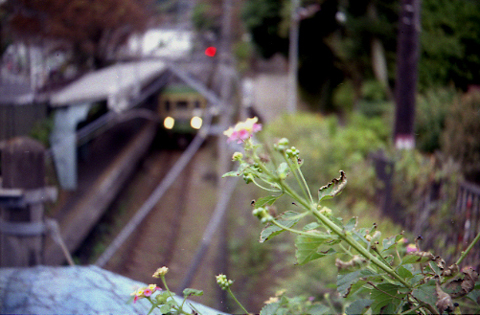 f0073254_22515087.jpg