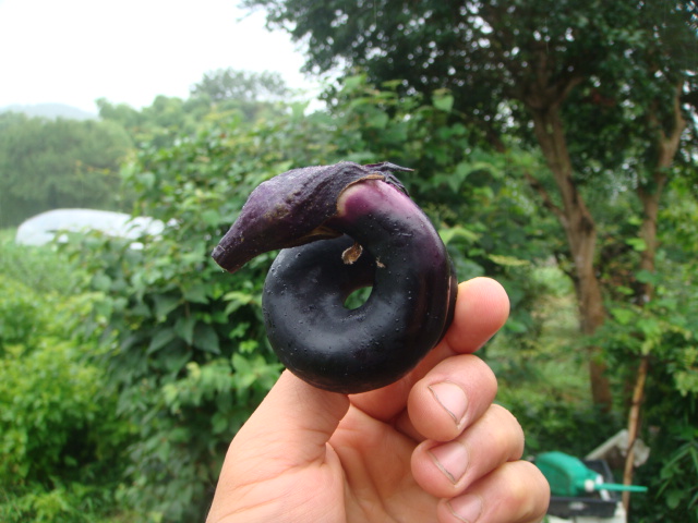 c0074157_20374127.jpg